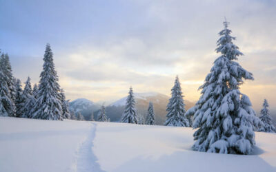 Fermeture hivernale de l’institut