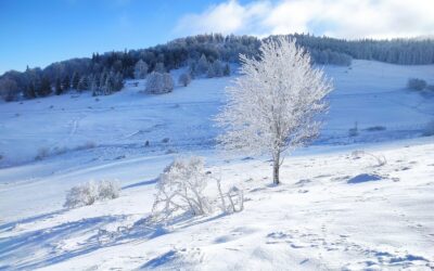 Fermeture hivernale de l’Institut